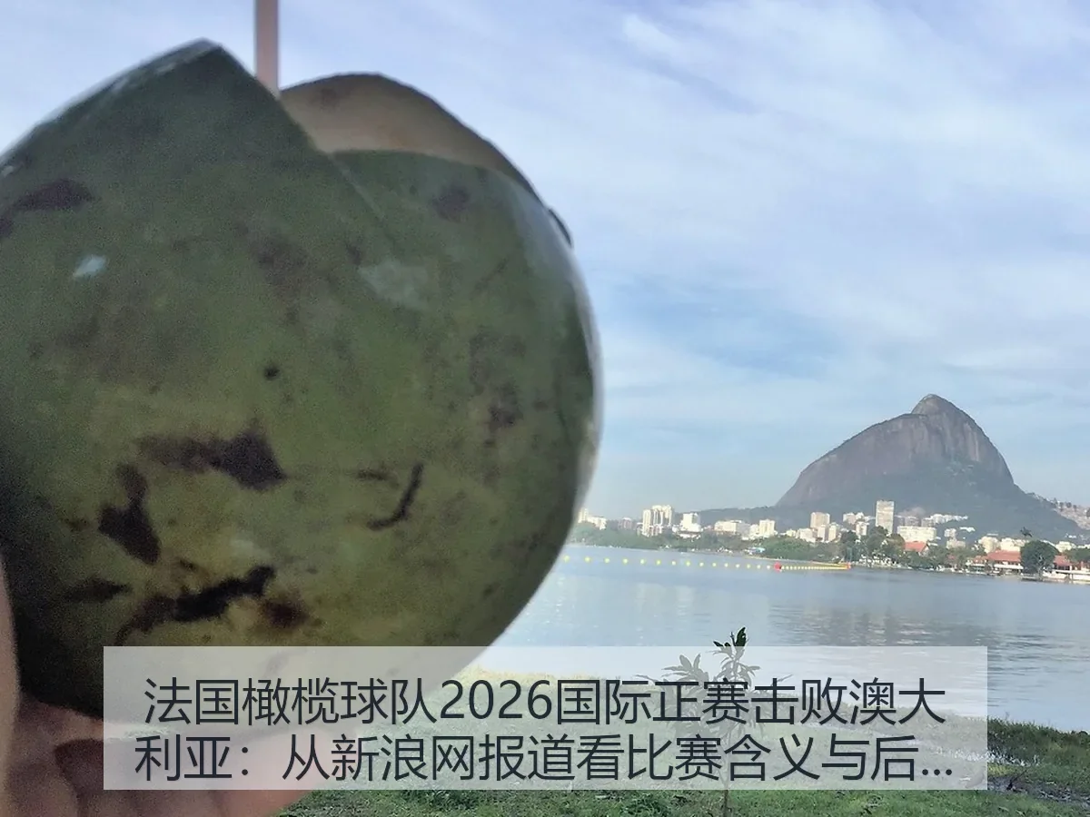 法国橄榄球队2026国际正赛击败澳大利亚:比赛含义与后续观察